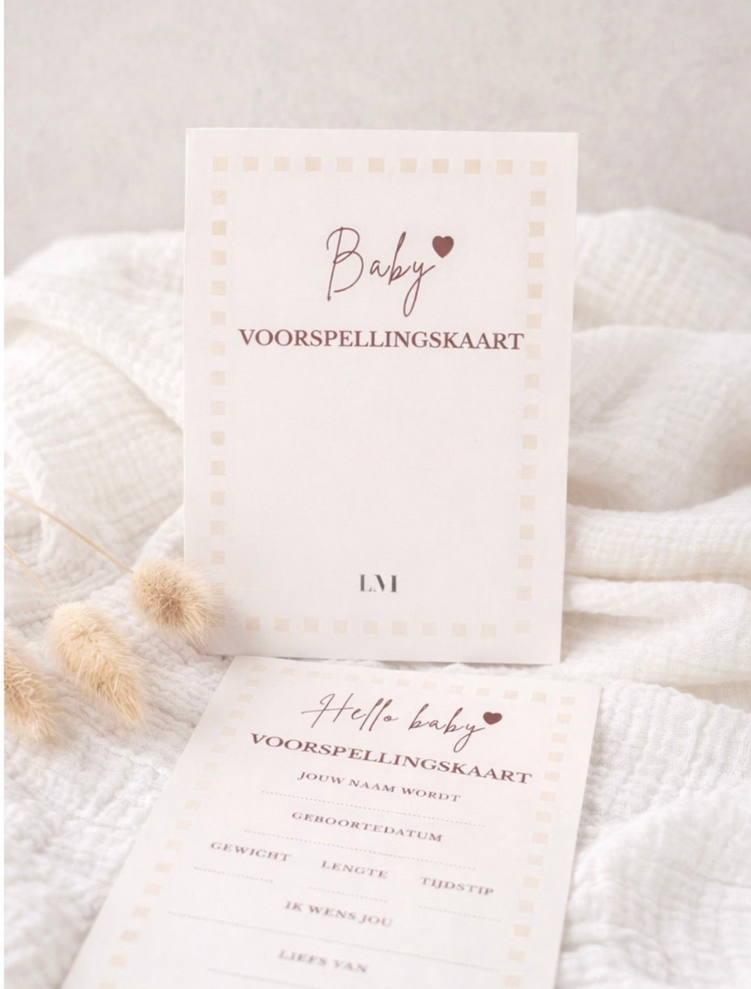 Invulkaarten - Baby voorspellingen (10st.)